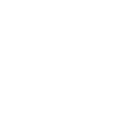 Ninecourts logo