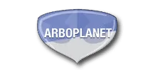 Boer Organisatie Advies logo