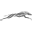 Kú Cycle logo