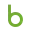 Briddle Rich Internet Applications logo