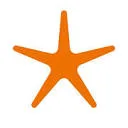 Stichting Spark to Learn logo