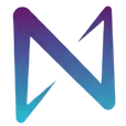 nRisk BV logo