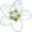 Hospice Parunashia logo