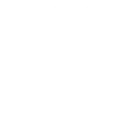 Little Concepts logo