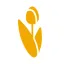 ThinkingDutch logo