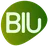 BI United logo