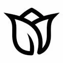 Everet Imaging BV logo