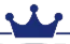 Crown Security Services B.V. NL logo
