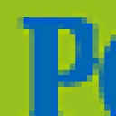 Paarden Oppas Service logo