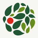 CombiVliet logo