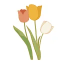 The Cosmetic Shop Europe B2C Marketplace logo
