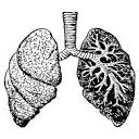 Mr Breath Ademcoaching logo
