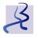 Bruma AND Partners logo