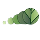 Ruyteninstituut logo
