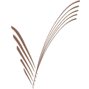 Bakkerij Vreugdenhil logo
