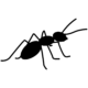 Copywriter Collective logo