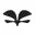CAES logo