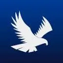 Falcon Electric Aviation logo