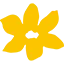 Clayre AND Eef logo