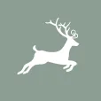 It's all about Christmas logo