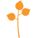 Birch Consultants logo