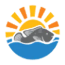 FirstWave Group logo