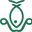 Flying Fish Efoil School logo