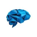 Brand New Mind B.V. logo