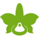 De Hoog Orchids logo