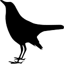 Cab'n logo