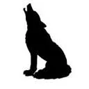 Creative Dogs logo