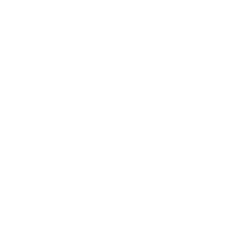TAMM Solutions logo