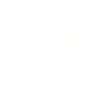 Patagonia Beach logo