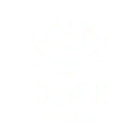 De Ark Haarlem Stichting Arkgemeenschap regio Haarlem logo