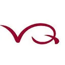 Vinos QuiXote logo