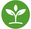 GNT Ventures logo