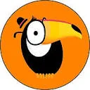 Toucan Insights® logo