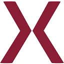 VitelleX logo