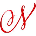 Napkins logo