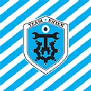 Team Uniek logo