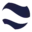 Peterson Energies logo