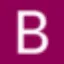 Bouwinvest Real Estate Investors logo
