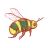 Avallen Spirits logo