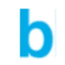 BlueGroup IT B.V. logo