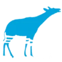 Oqapi Software logo