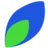 Springleaf Automation logo