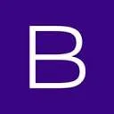 BIS logo