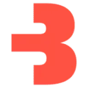 Bigfish.nl logo
