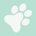 Pets4Care natuurlijke en dierbare ontmoetingen logo