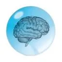 Brainclinics Foundation logo